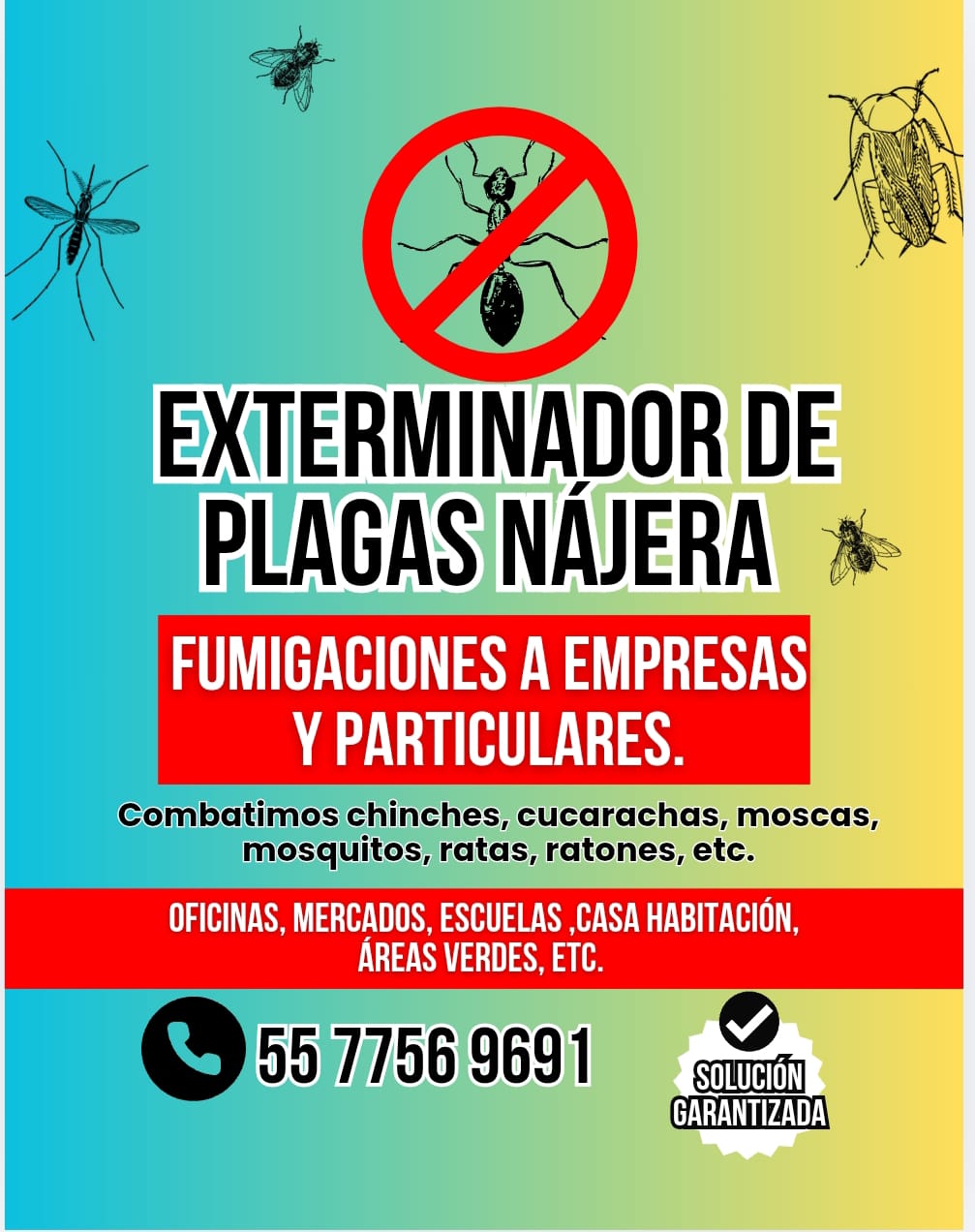 Zona residencial: Alacranes y arañas