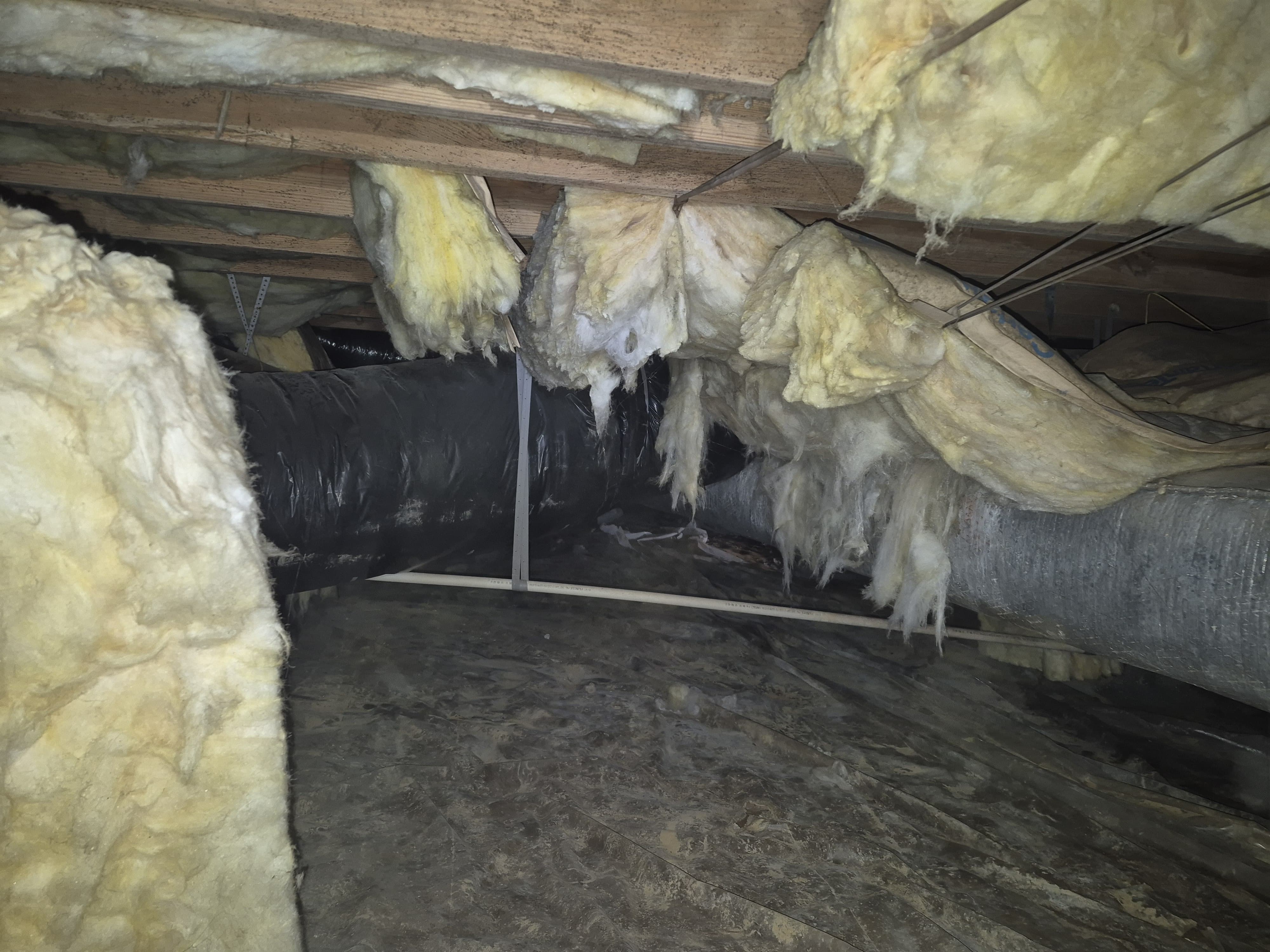 Trabajo profesional en crawlspace