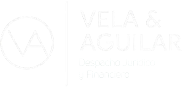 Vela Aguilar Consultores Logo